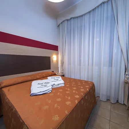 酒店 普拉亚酒店 维亚雷焦