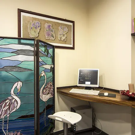 普拉亚酒店 酒店 维亚雷焦