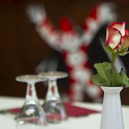 普拉亚酒店 3* 维亚雷焦